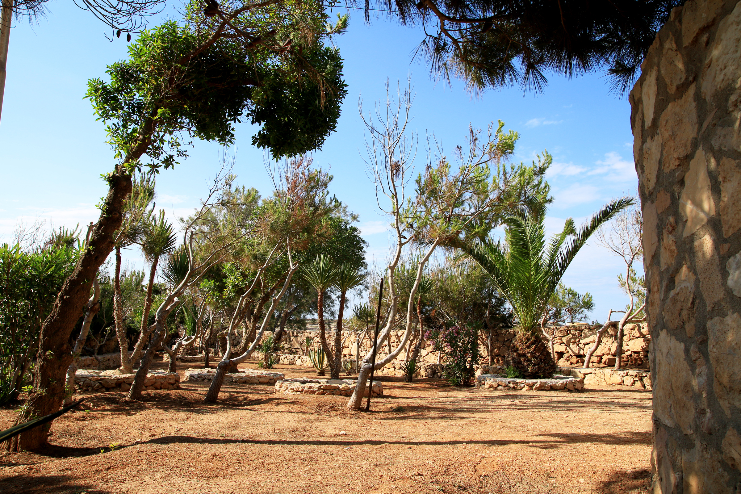 Bonaccia - Residence del Sole Lampedusa